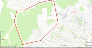 2024-09-29_район поиска4.JPG